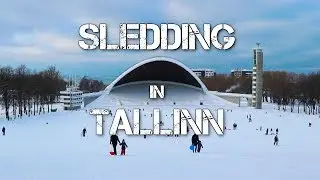 SLEDDING at Tallinn Song Festival Grounds | Winter in Estonia