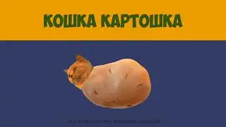 мышка сосиска (все версии подряд, 2021)
