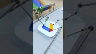 tiktok video 