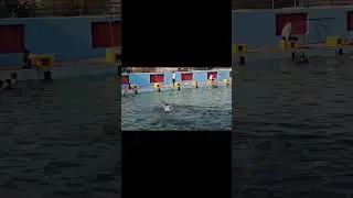 तैरना सीखे//Swimming learn //