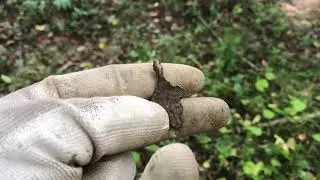 Советское серебро. Прогулялся по осеннему лесу.