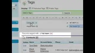 salesforce Tags Search Demo