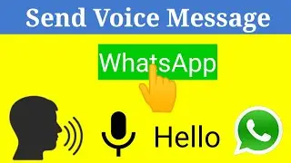 How To Send Voice Message In WhatsApp - Send Voice Message WhatsApp