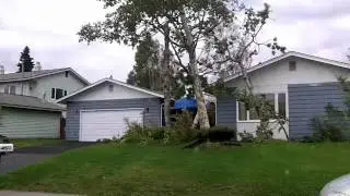 Storm Damage