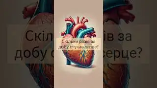 Скільки разів за добу стукає серце? #цікавіфакти