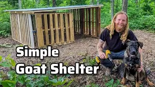 Building a PALLET GOAT SHELTER on our Off-Grid Homestead