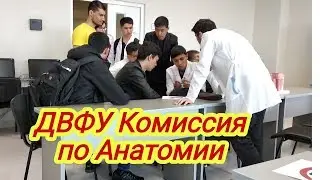 ДВФУ Комиссия по Анатомии/удачно все сдали