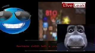 The most painful Terraria video