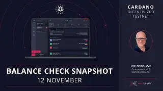 The Balance Check for the Shelley Incentivized Testnet will happen on 12th November