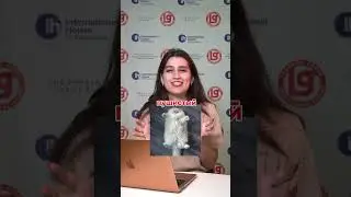 Узнали что-то новое ?)