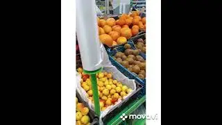 прогулка по городу 😄😄😄