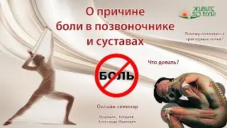 О причине боли в позвоночнике и суставах