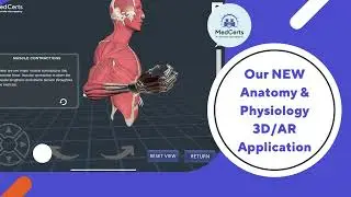 Revamped Intro to Human Anatomy and Medical Terminology Course