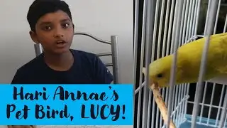 Come, Let's Explore Hari Annae's Pet Bird, Lucy