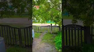 #shorts #shortmusic #казахстан #лето #природа #short #musicclip #musicvideo #эгромжан #надеждажитина