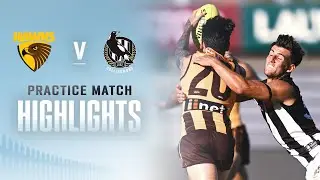 Hawthorn v Collingwood Highlights | Practice Match, 2023 | AFL