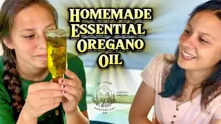 Make Oregano Oil - Sanitized Essential Oils