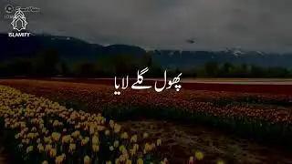 MOLANA TARIQ JAMEEL❤️