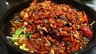 eating small lobster กินกุ้งเครฟิช