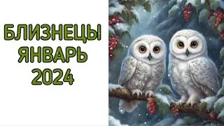 ♊️БЛИЗНЕЦЫ | ЯНВАРЬ🎄 | ТАРО | 2024