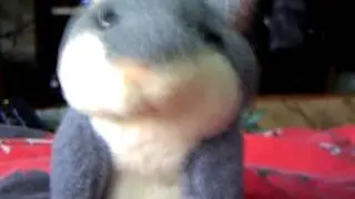 Чо кого сучара