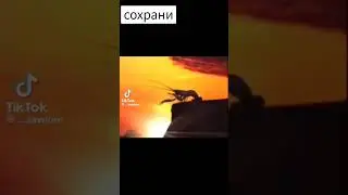 23 марта 2024 г.