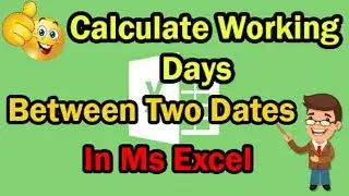 How To Calculate Working Days Between Two Dates in Ms Excel  || MS Excel Training