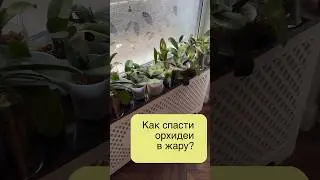 #данапротасова