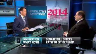 Where Immigration Legislation Can Go in 2014