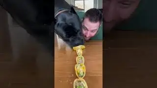 Why is this more intense than the Olympics 💀🌮