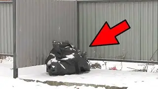 There was a knotted bag on the road. After opening it, people screamed in horror!