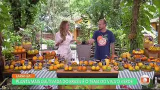Sábado que vem te mais, Viva O Verde. (Gravado por Globoplay)