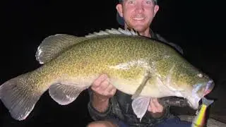MURRAY COD IN THE GORGES