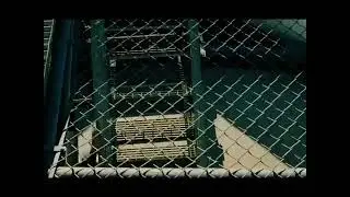Giant Snake🐍 | anaconda full movie | latest anaconda movie clips 2022 |