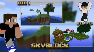 Usando a cabeça de cima para jogar Skyblock Dia 1 -Minecraft-