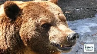 В Харьковском зоопарке 