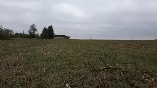 Неожиданная находка на новом месте