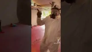 Борьба с мышами в доме в США
