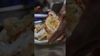 BEST VALUE ZOOM LENS | SIGMA 24-70mm F/2.8 DG ART | LUMIX S5II 