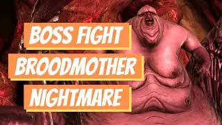 Dragon Age: Origins - Broodmother Boss Fight (Nightmare Difficulty)