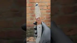 Черговий RAPTOR TANTO