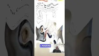 Marine le Pen et ses relations avec la Chine