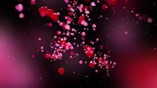 Romantic flying red rose flower petals love heart wedding animated background Hd