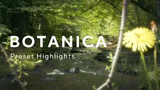Botanica by Phritz - Preset Highlights