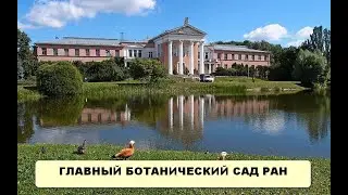 RTG HD. Главный ботанический сад РАН (2014)