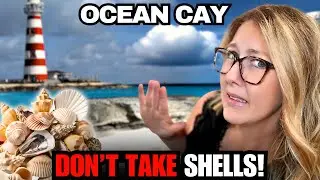 Ocean Cay, Bahamas: What We Learned on MSC’s Private Island