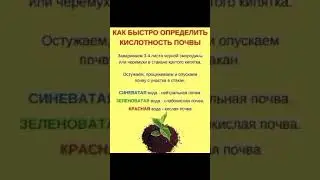 19 июня 2023 г.