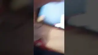 Залцбургска птичка Недей