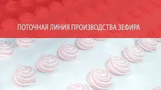 2020 КК Князев Линия зефира