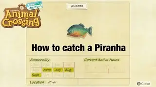 How to Catch A Piranha In Animal Crossing New Horizons!
